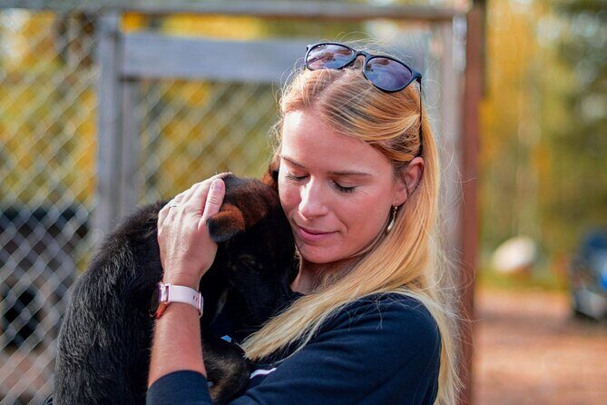 Rovaniemi Autumn Husky Safari & BBQ  610 km SelfDrive - What Reviewers Say