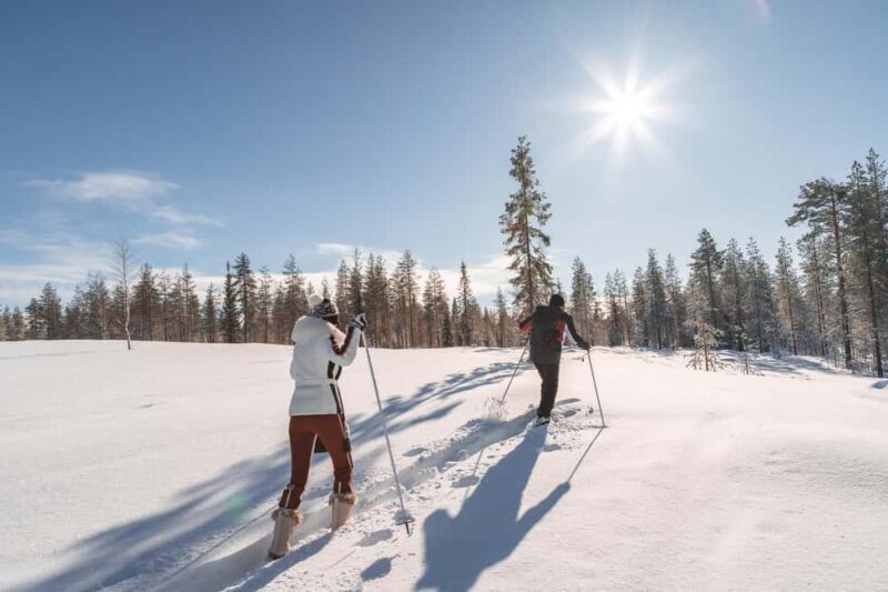 Rovaniemi: Backcountry Skiing Adventure - Key Points