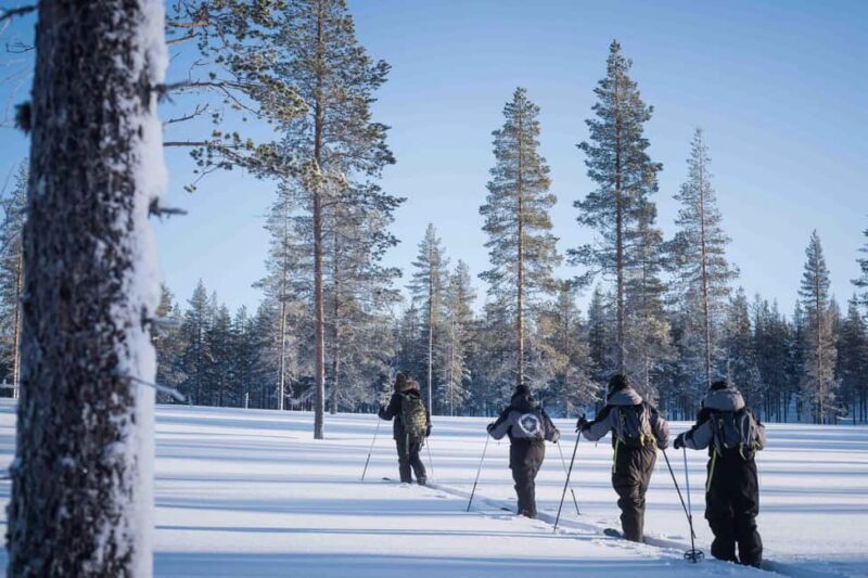 Rovaniemi: Backcountry Skiing Adventure - Discovering the Arctic Wilderness on Skis