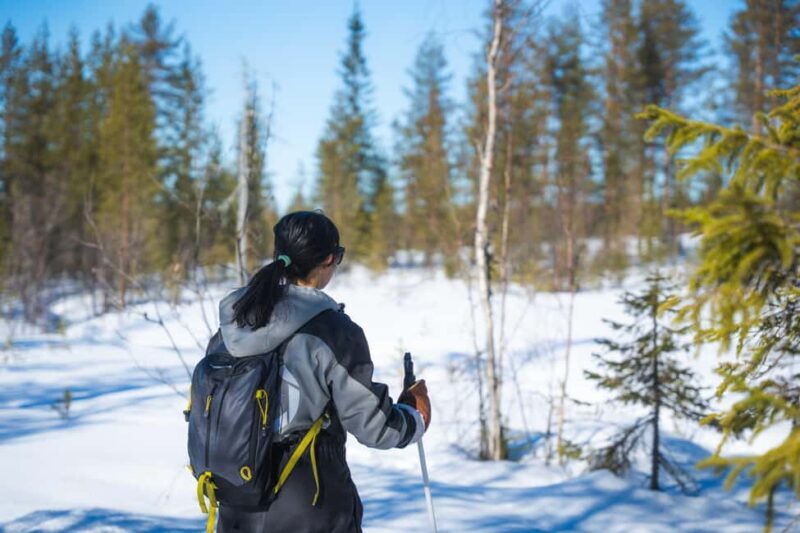 Rovaniemi: Backcountry Skiing Adventure - The Itinerary Breakdown