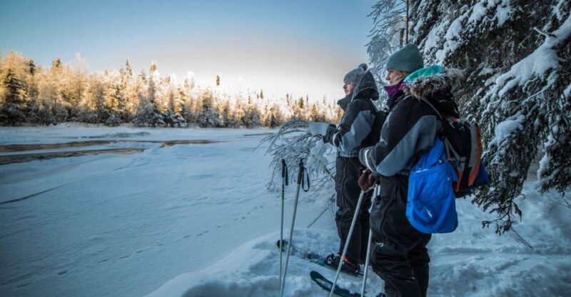 Rovaniemi: Backcountry Skiing Adventure - What to Expect During the Skiing and Photography Session