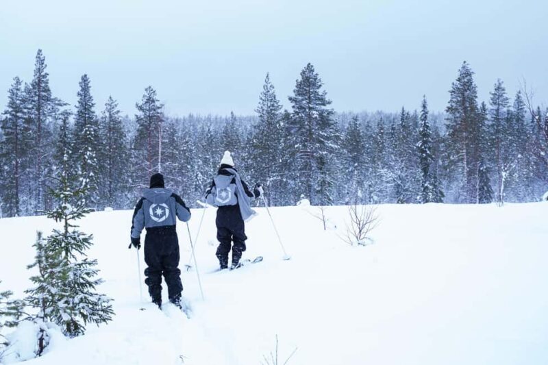 Rovaniemi: Backcountry Skiing Adventure - Practical Info and Logistics