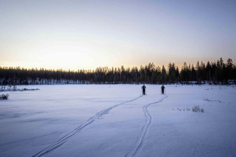 Rovaniemi: Backcountry Skiing Adventure - Price and Value