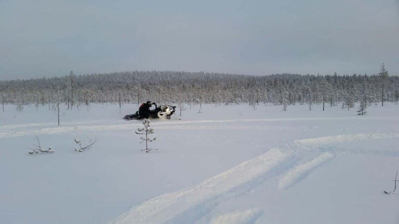 Rovaniemi: Backwoods Adventure Full Day Snowmobile Safari - Rovaniemi: Backwoods Adventure Full Day Snowmobile Safari