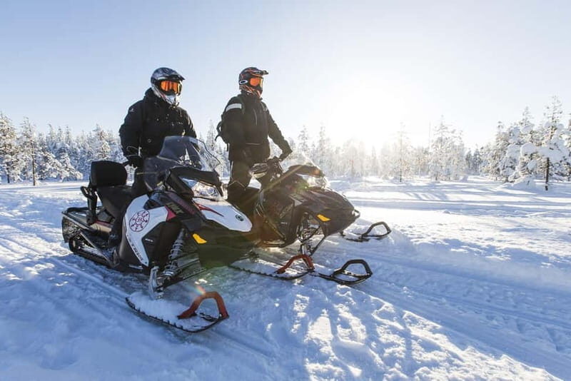 Rovaniemi: Backwoods Adventure Full Day Snowmobile Safari - What the Tour Is All About