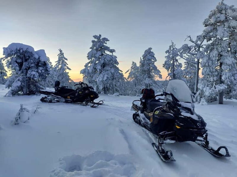 Rovaniemi: Backwoods Adventure Full Day Snowmobile Safari - Lunch and Rest Breaks