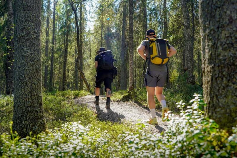 Rovaniemi: Berry and Mushroom Picking with Wilderness Guide - The Experience Provider and Booking Flexibility