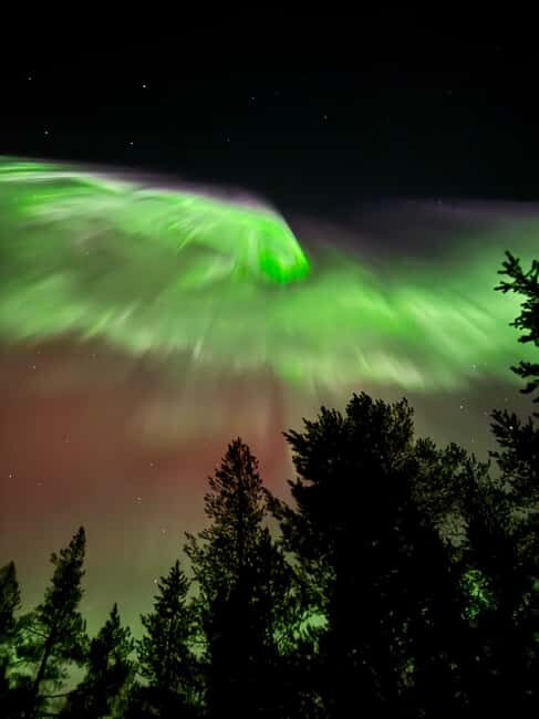 Rovaniemi: Coffee under Northern Lights & Professional Photo - Who Is This Tour Best For?