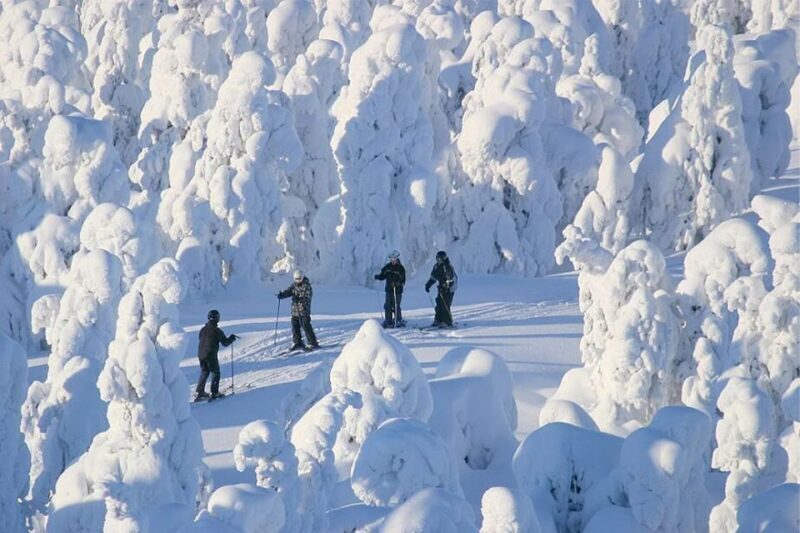 Rovaniemi: Cross Country Wilderness Ski Adventure - The Skiing Experience: What You Need to Know