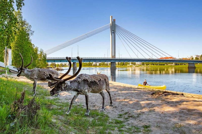 Rovaniemi: Cultural Canoe Trip - FAQ