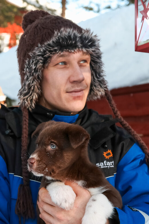 Rovaniemi: Daytime Husky Safari - Key Points