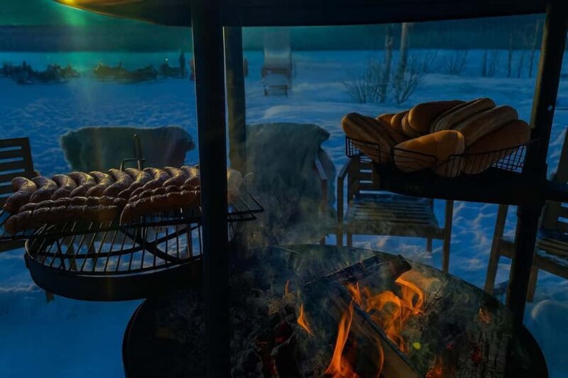 Rovaniemi: Drive New 2025 Snowmobiles - Aurora Adventure - Who Should Consider This Tour?