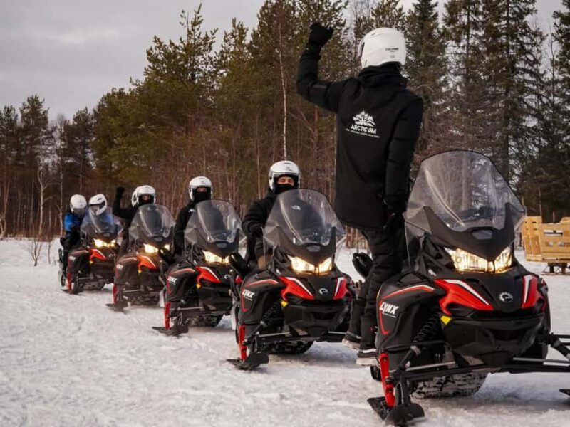 Rovaniemi: Drive New 2025 Snowmobiles on Arctic Safari & BBQ - Key Points