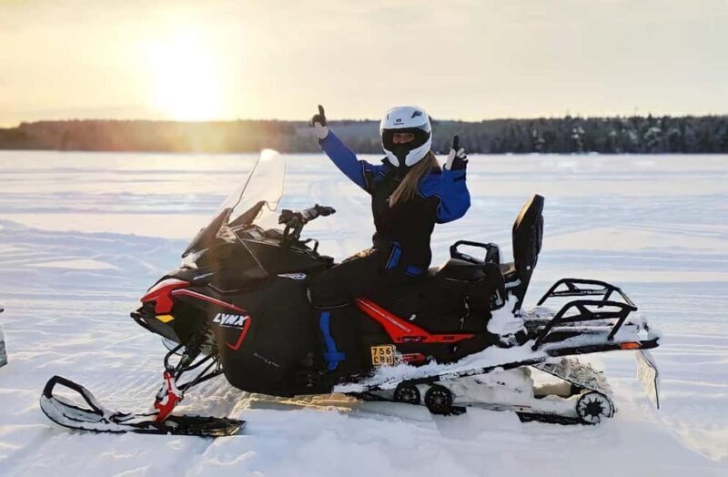 Rovaniemi: Drive New 2025 Snowmobiles on Arctic Safari & BBQ - The Experience for Different Travelers