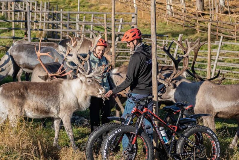 Rovaniemi: E-fatbike Trip to the Reindeer Farm - Key Points