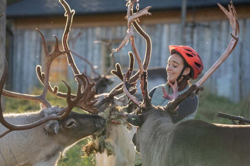 Rovaniemi: E-fatbike Trip to the Reindeer Farm - What to Expect from the Tour