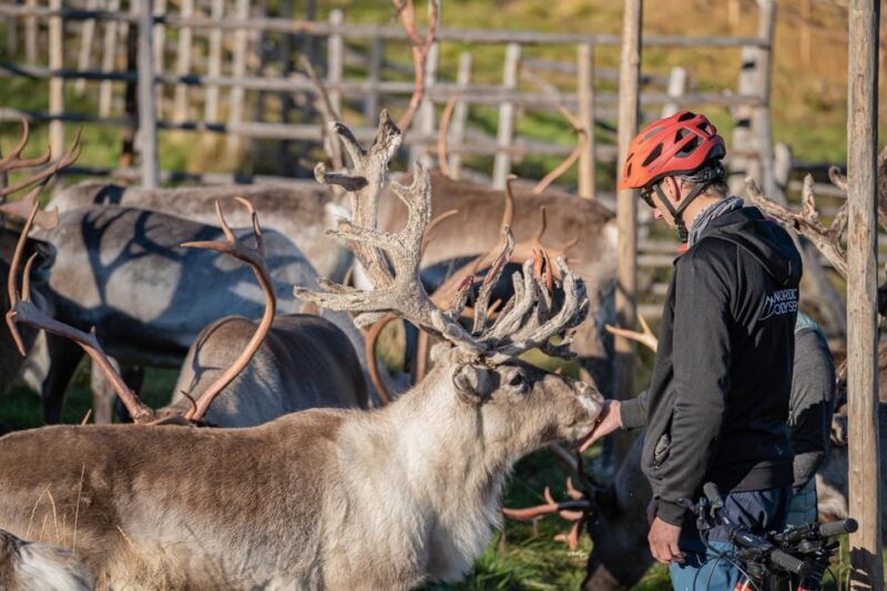 Rovaniemi: E-fatbike Trip to the Reindeer Farm - Who Will Enjoy This Tour?