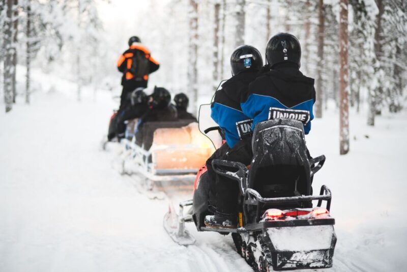 Rovaniemi: Easy Snowmobile Safari - What Is the Rovaniemi Snowmobile Safari Like?