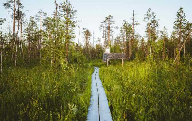 Rovaniemi: Electric Fatbike Rental with Helmet - Who Will Love This Experience?