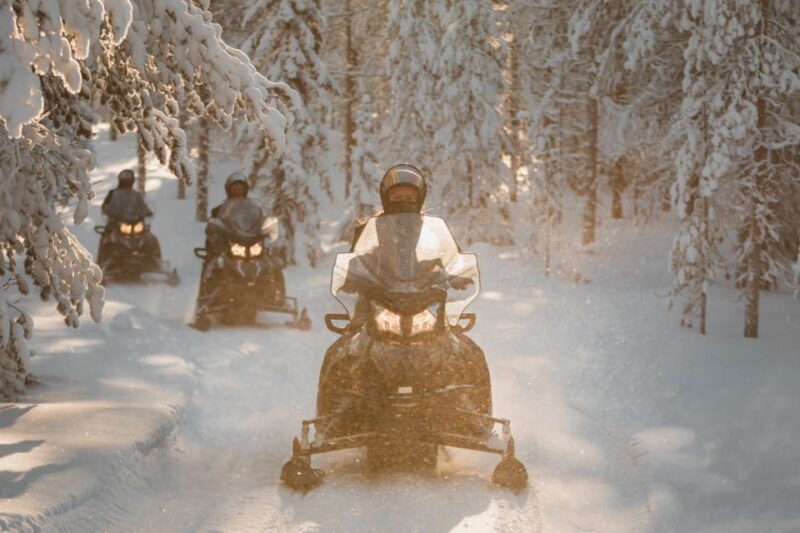 Rovaniemi: Electric Snowmobile Safari to Arctic Wilderness - Experience Breakdown: What to Expect on the Arctic Adventure