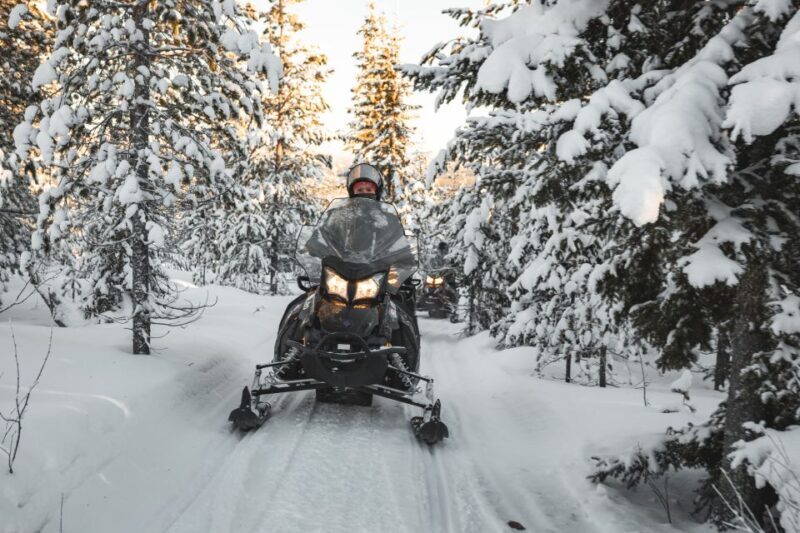 Rovaniemi: Electric Snowmobile Safari to Arctic Wilderness - Pricing & Value