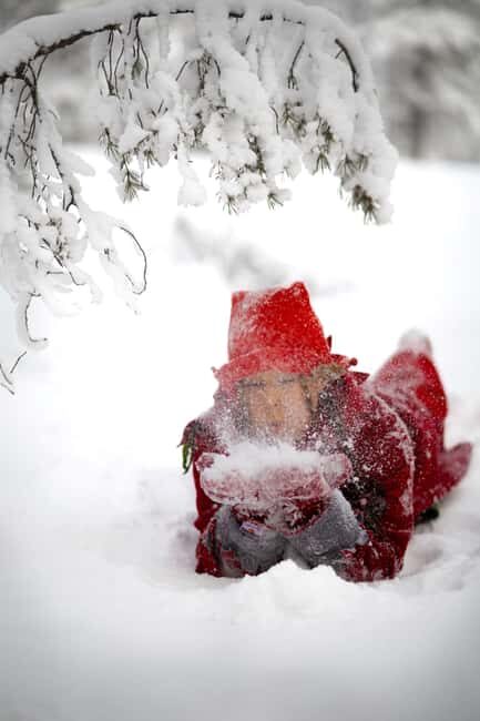 Rovaniemi: Elf Training Center - FAQ