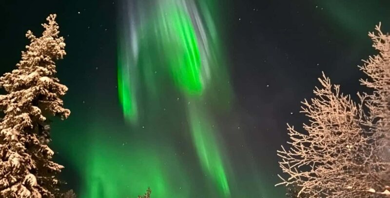 Rovaniemi: Elf's Northern Lights Sleigh Ride - What to Expect from the Elf’s Northern Lights Sleigh Ride
