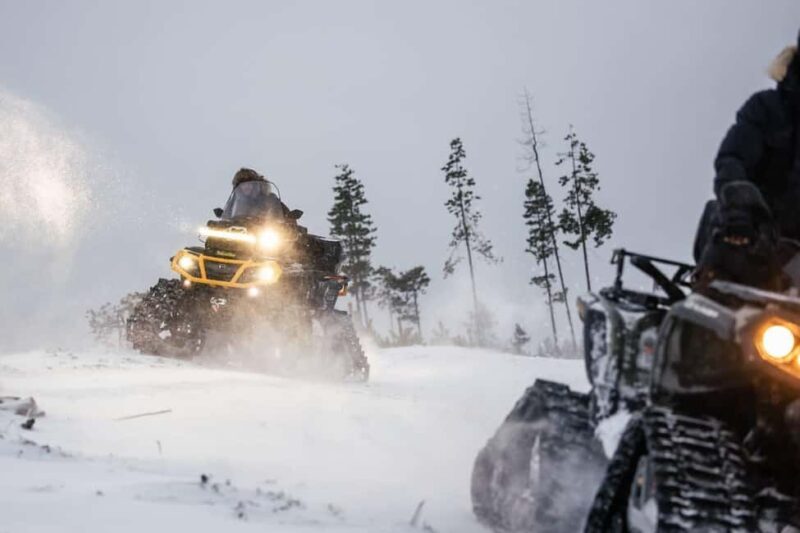 Rovaniemi Expedition "INTO THE WILD" and Glass Igloo Lunch - Final Thoughts