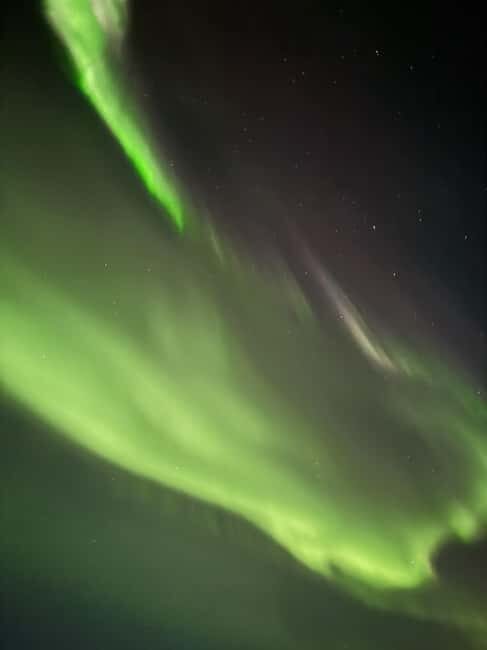 Rovaniemi: Family-Friendly Northern Lights Tour - The People Behind the Experience: Who Benefits Most