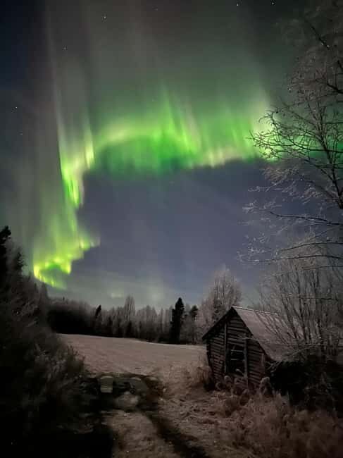 Rovaniemi: Family friendly northern lights tour with photos - Practical Tips for Booking