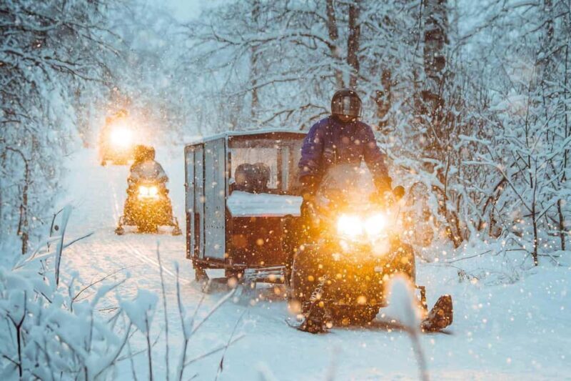 Rovaniemi: Family Snowmobiling Trip - Who Should Consider This Tour?