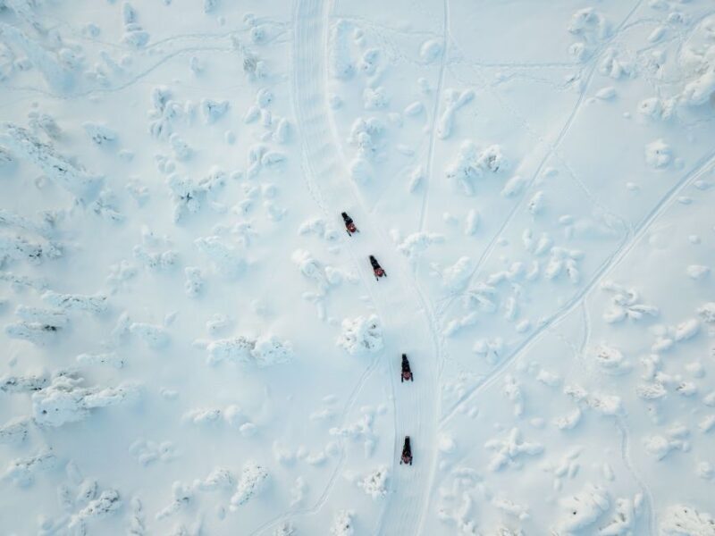 Rovaniemi: Full Day Snowmobile Safari into the Wilderness - What to Expect from the Snowmobile Safari
