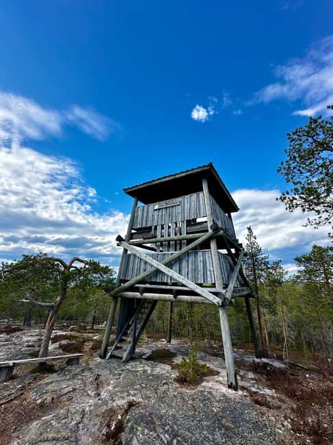 Rovaniemi: Full-Day Tour to Lapland's Best Attractions 5in1 - Who Is This Tour Perfect For?