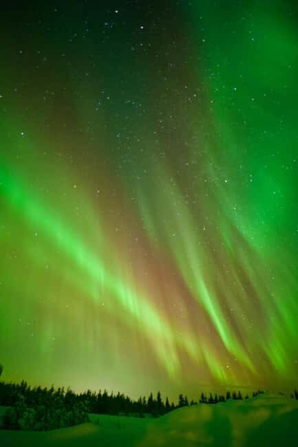 Rovaniemi: Guaranteed Aurora Borealis Photography Tour - FAQ