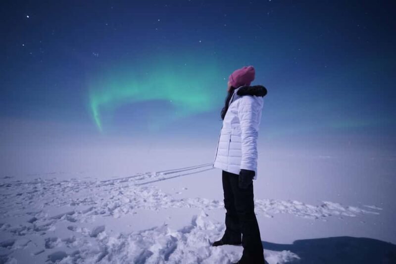 Rovaniemi: Guaranteed Aurora Hunt with Local Guides & Photos - FAQ - Your Questions Answered