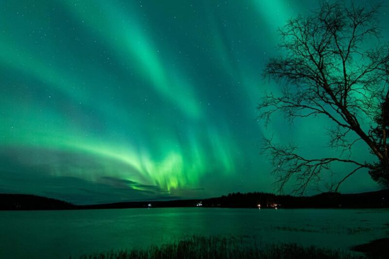 Rovaniemi: Guaranteed Aurora Hunting Tour with Local Guide - Breaking Down the Cost: Is It Worth It?