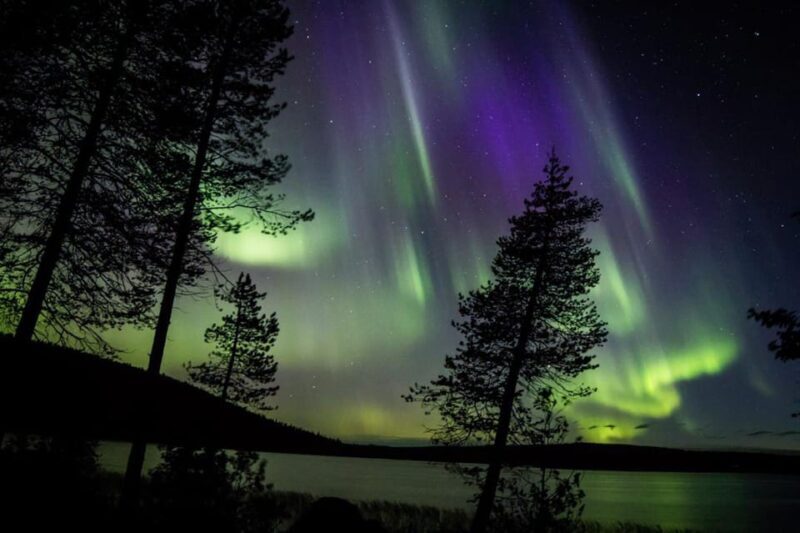 Rovaniemi: Guaranteed Aurora Hunting Tour with Local Guide - Who Should Consider This Tour?