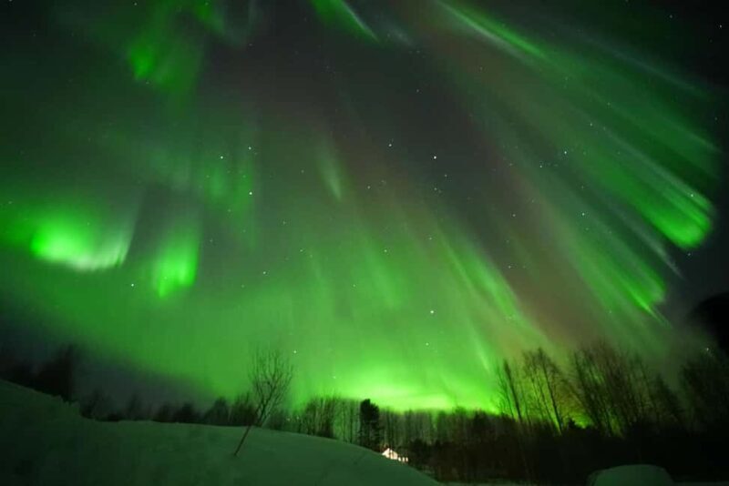 Rovaniemi: Guaranteed Aurora Hunting Tour with Photos&Videos - The Experience in Detail