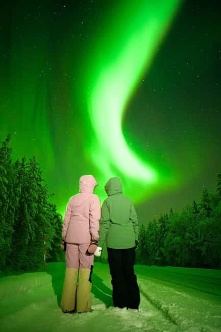 Rovaniemi: Guaranteed Northern Lights & Photography Tour - The Practical Side: What to Expect