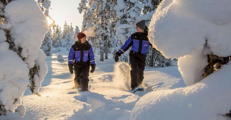 Rovaniemi: Guided Lappish Wilderness Snowshoeing Adventure - Who Should Consider This Tour?