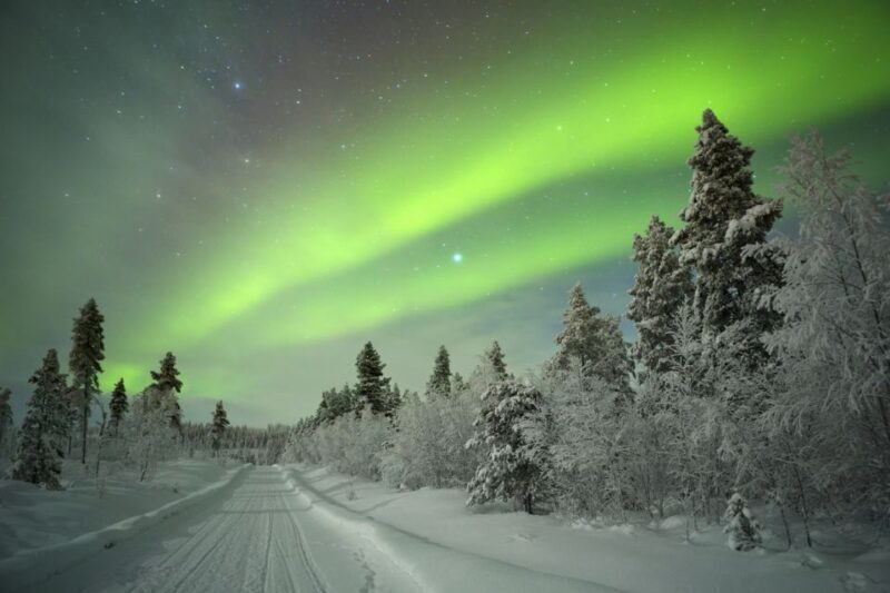 Rovaniemi: Guided Northern Lights Tour - What to Expect from the Tour