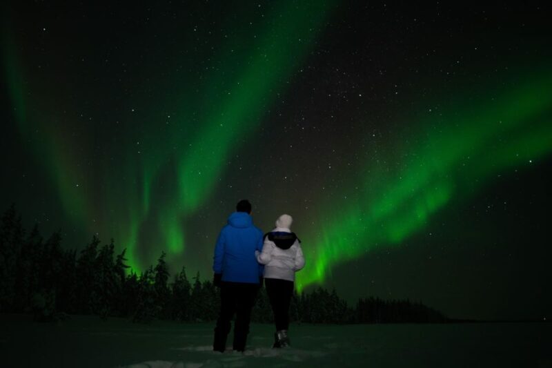 Rovaniemi: Guided Northern Lights Tour - Who Will Love This Tour?