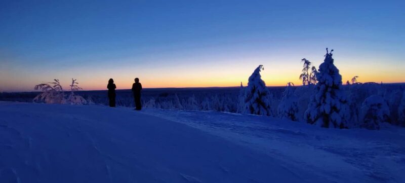 Rovaniemi: Guided Snowshoeing Forest Escape - Practical Details and Considerations