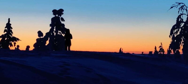 Rovaniemi: Guided Snowshoeing Forest Escape - Who Will Love This Tour?