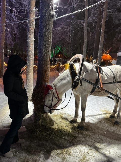 Rovaniemi: Guided Tour of Santa Claus Village - What the Reviews Say