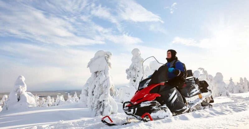 Rovaniemi: Guided Wilderness Snowmobile Ride - Pricing and Value