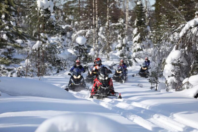 Rovaniemi: Guided Wilderness Snowmobile Ride - FAQ
