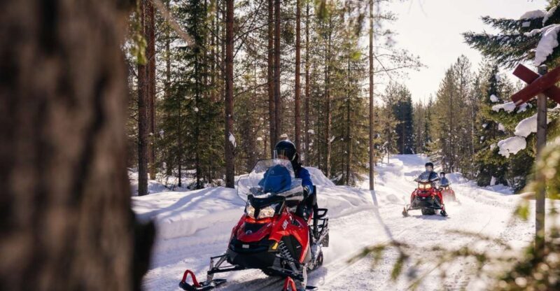 Rovaniemi: Half-Day Snowmobile Tour - Final Thoughts