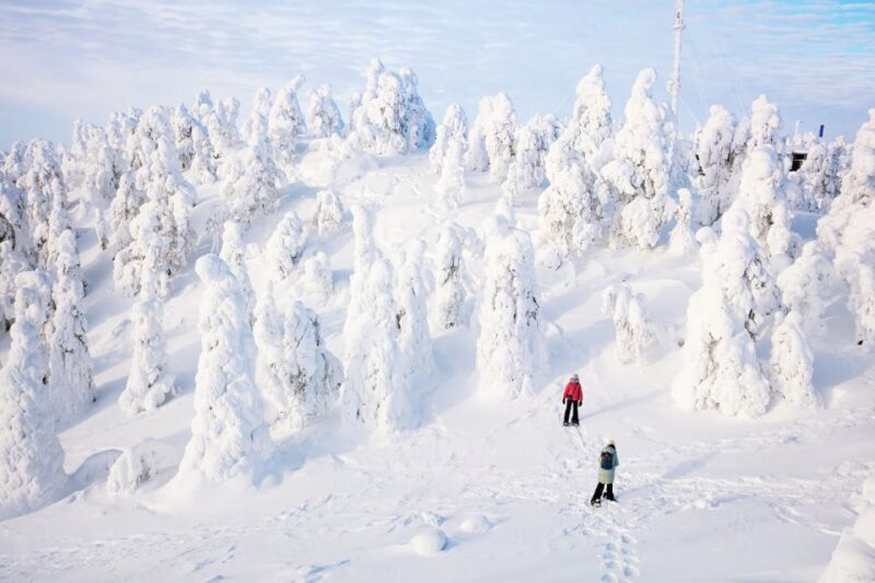 Rovaniemi: Hiking and Snowshoeing Adventure in Lapland - Setting the Scene in Lapland