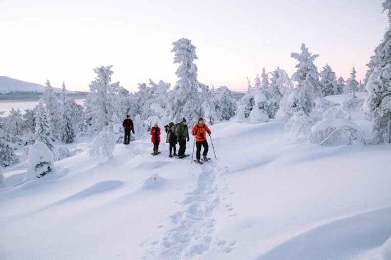 Rovaniemi: Hiking and Snowshoeing Adventure in Lapland - The Value of the Experience